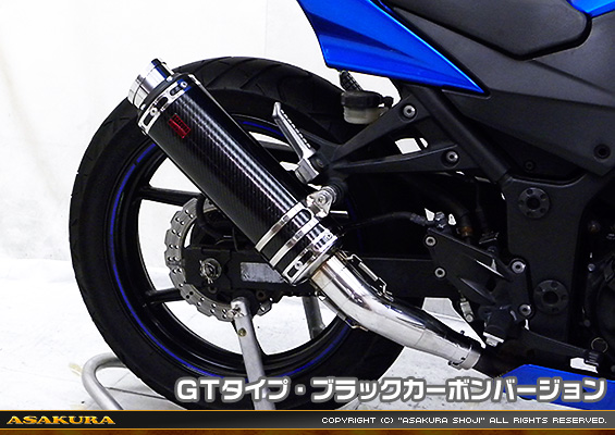 Ninja250R【JBK-EX250K】用 TTRタイプマフラー GTタイプ ブラックカーボンバージョン