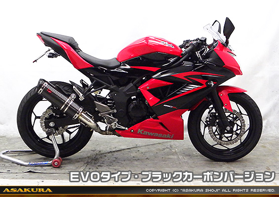 Ninja250SL【JBK-BX250A】用 TTRタイプマフラー EVOタイプ ブラックカーボンバージョン