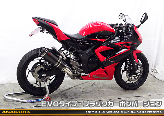 Ninja250SL【JBK-BX250A】用 TTRタイプマフラー EVOタイプ ブラックカーボンバージョン