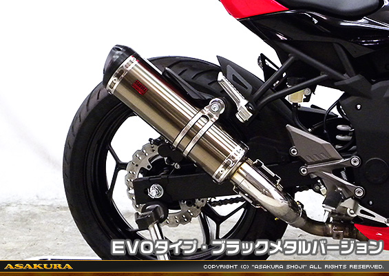 Ninja250SL【JBK-BX250A】用 TTRタイプマフラー EVOタイプ ブラックメタルバージョン
