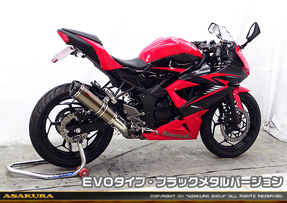 Ninja250SL【JBK-BX250A】用 TTRタイプマフラー EVOタイプ ブラックメタルバージョン