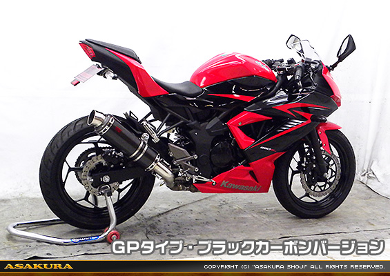 Ninja250SL【JBK-BX250A】用 TTRタイプマフラー GPタイプ ブラックカーボンバージョン