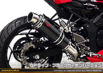 Ninja250SL【JBK-BX250A】用 TTRタイプマフラー GPタイプ ブラックカーボンバージョン