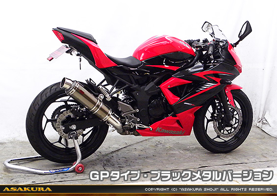 Ninja250SL【JBK-BX250A】用 TTRタイプマフラー GPタイプ ブラックメタルバージョン