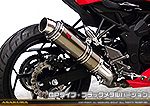 Ninja250SL【JBK-BX250A】用 TTRタイプマフラー GPタイプ ブラックメタルバージョン