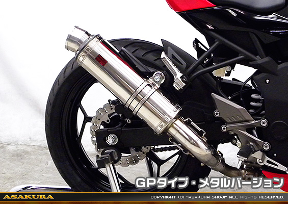 Ninja250SL【JBK-BX250A】用 TTRタイプマフラー GPタイプ メタルバージョン