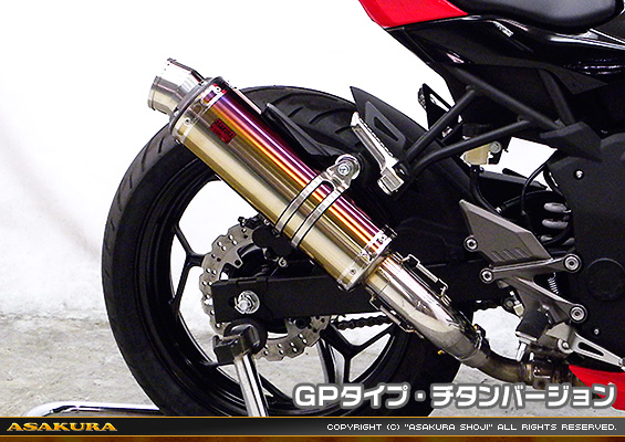 Ninja250SL【JBK-BX250A】用 TTRタイプマフラー GPタイプ チタンバージョン