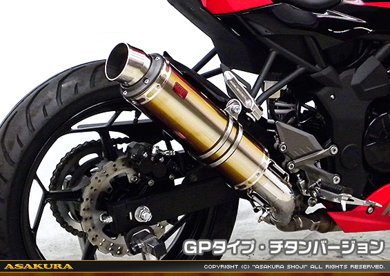 Ninja250SL【JBK-BX250A】用 TTRタイプマフラー GPタイプ チタンバージョン