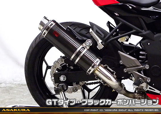 Ninja250SL【JBK-BX250A】用 TTRタイプマフラー GTタイプ ブラックカーボンバージョン