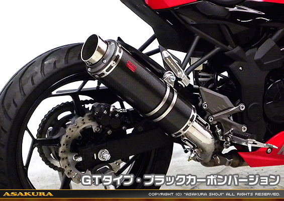 Ninja250SL【JBK-BX250A】用 TTRタイプマフラー GTタイプ ブラックカーボンバージョン
