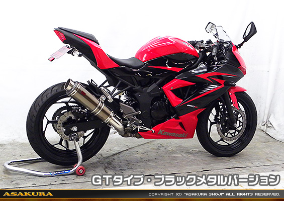 Ninja250SL【JBK-BX250A】用 TTRタイプマフラー GTタイプ ブラックメタルバージョン