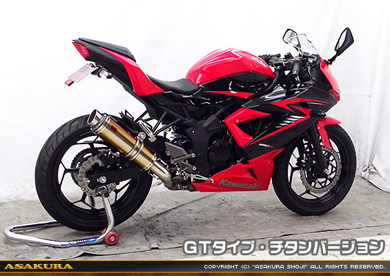 Ninja250SL【JBK-BX250A】用 TTRタイプマフラー GTタイプ チタンバージョン